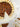 Pecan Tart